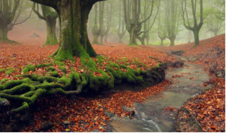 Gorbea Natural Park